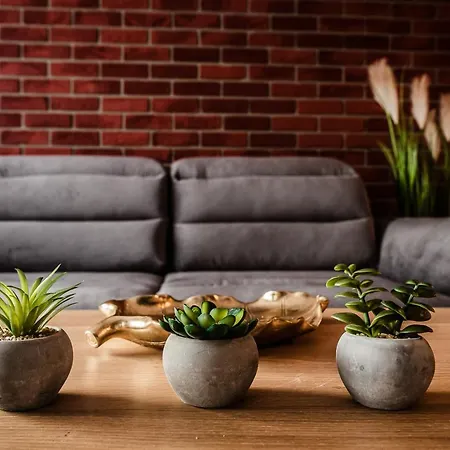 Loft Apartament Aleje Wolnosci Nowy Sącz Esterno foto